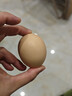 京鲜生可生食标准鲜鸡蛋30枚礼盒装3斤 源头直发 实拍图