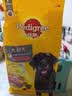 宝路狗粮老年犬狗粮 牛肉味1.8kg全犬种通用老年犬狗粮全价粮  实拍图
