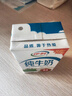 伊利【新鲜日期】纯牛奶250ml*24盒 优质乳蛋白 早餐奶 礼盒装 实拍图