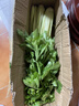 大芹菜产地直销新鲜健康无添加现挖现发生吃凉拌脆甜多汁带叶子 芹菜3斤 实拍图
