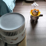 霍尼韦尔（Honeywell）宠物空气净化器吸猫毛除过敏源猫猫搭子 猫毛净化器杀菌消毒除异味KJ360F-C22W 实拍图