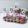 INSTAX富士instax立拍立得 mini相纸 白边双包20张(适用miniSE/11/12/40/90/LiPlay/EVO/Link3) 实拍图