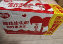 银鹭【任嘉伦推荐】花生牛奶饮料250ml*20盒早餐奶整箱礼盒 实拍图