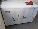 星星400升冰柜家用冷藏冷冻两用卧式冰箱商用大冰柜雪柜速冻保鲜柜节能-40℃冷冻柜BD/BC-400C/U 实拍图