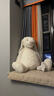 Jellycat害羞乳白色邦尼兔动物毛绒玩偶安抚玩偶娃娃送礼520礼物 害羞乳白色邦尼兔 Giant 实拍图