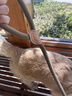 华元宠具（hoopet）狗狗牵引绳子防爆冲P绳链子胸背带中小型大型犬柯基防挣脱溜遛狗 实拍图