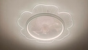 雷士（NVC）LED照明风扇灯吸顶吊扇灯全光谱卧室摇头智控42瓦无极调光 实拍图
