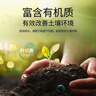 史丹利家庭园艺有机营养液通用型蔬菜果树植物花肥料盆栽家用养花500ml 实拍图