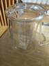 物生物（RELEA）玻璃杯男女士茶水分离杯耐高温办公泡茶杯带把高硼硅水杯花茶杯子 实拍图