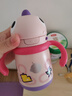 babycare儿童保温杯婴儿宝宝吸管水杯霸王龙不锈钢保温杯300ml-新旧款混发 实拍图