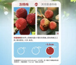 溜溜梅冻杨梅  原果原味 儿童解馋办公室健康休闲零食120g/3袋 实拍图