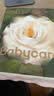 babycare金山茶花婴儿纸尿裤试用装L码3片(9-14kg)尿不湿超薄透气 实拍图