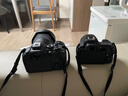 佳能（Canon）R62微单相机 4K视频拍摄直播vlog 人像风光旅游摄影专业摄影器材 r6二代全画幅微单红圈24-105套机 实拍图