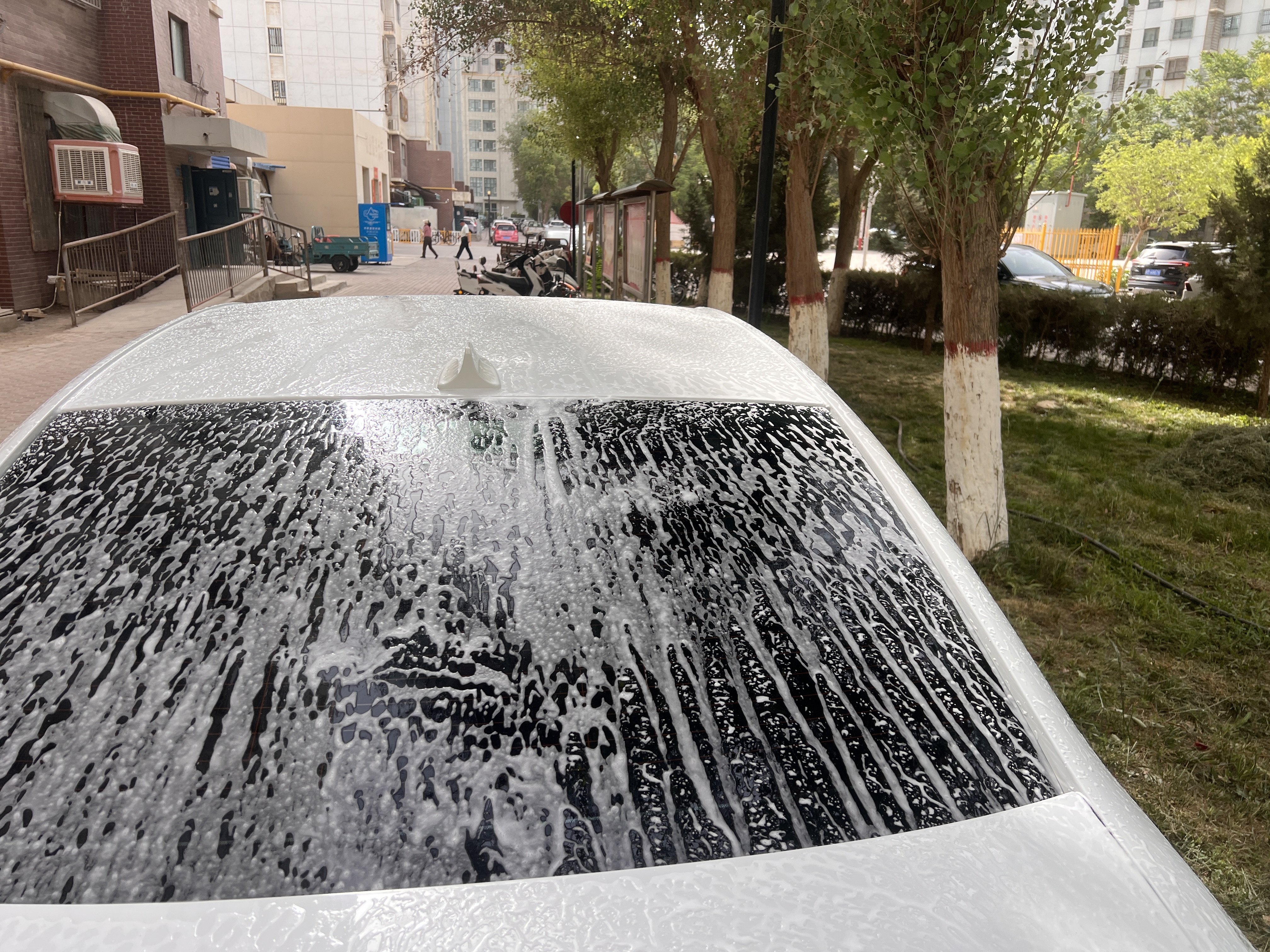 绿田（LUTIAN）汽车用品洗车水蜡雪崩上光洗车液清洁剂漆面玻璃清洁药剂 【去污上光】 227ml 1瓶 体验装 实拍图