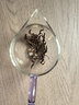 天之红红茶茉莉祁红香螺祁门红茶花茶100g罐装 自己喝的茶叶 实拍图
