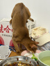 普安特宠物猫咪驱虫药体内外同驱跳蚤犬虱非泼罗尼爱滴克+内驱 实拍图