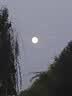 阿瑞娜（arena）泳帽防水不勒头长发游泳运动纯色硅胶游泳帽男女通用 实拍图