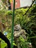 墨一【送货上门】爬藤架葡萄黄瓜豆角架种菜花支架庭院园艺花卉支撑杆 粗11mm长180cm10支 特大 实拍图