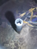 手工工具套装实验DIY多功能精密32合一24合一皮包款12合一螺丝刀起子手机电脑笔记本维修 工具盒25合一（塑料杆）颜色随机 实拍图