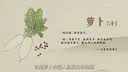 欧迪芬【丁字裤一片式】内裤女无痕超薄性感低腰纯色运动健身T裤均码3条 实拍图