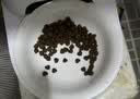 卫仕 膳食全价成年期猫粮 猫干粮 无谷膳食营养成猫天然粮 1.8kg 实拍图