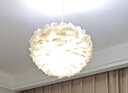 飞利浦（PHILIPS）led节能灯泡客厅家用超亮照明E27大螺口球泡12W6500K白光优视型 实拍图