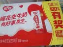 银鹭【任嘉伦推荐】花生牛奶饮料250ml*20盒早餐奶整箱礼盒 实拍图