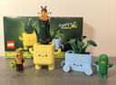 乐高（LEGO）积木拼装10349 快乐盆栽男女孩儿童玩具520送男女朋友礼物摆件 实拍图