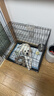 腆宠狗笼猫笼 狗笼子中小型犬带厕所幼犬狗窝猫笼子大号家用围栏兔笼 实拍图