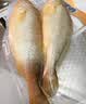 三都港 冷冻黄花鱼700g/2条装 宁德大黄鱼 深海鱼 生鲜 鱼类 海鲜水产 实拍图