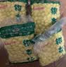林中山【发货中】银杏果新鲜白果仁去壳真空包装邳州特产开心果仁 5斤（5袋/500g/袋） 实拍图