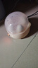 煮蛋器自动断电家用迷你蒸鸡蛋机早餐蒸杂粮玉米神器小型蒸鸡蛋羹机宿舍用 自动断电保护 单层 【送量杯】可放六个鸡蛋 实拍图