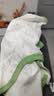 贝瑞加（Babyprints）婴儿半背衣2件装长袖纯棉宝宝上衣护肚和尚服家居内衣 黄点猫咪52 实拍图