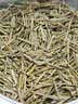 半山农 松针茶250g 新鲜正宗马尾松针茶特优级老树干货中药材泡水喝泡茶 实拍图