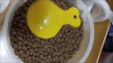 素力高（SolidGold）进口高蛋白鲜肉三文鱼含鱼油美毛减少掉毛成猫粮12磅/5.44kg*2 实拍图