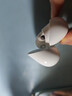 小米（MI）Xiaomi Buds 5 Pro 入耳式降噪翻译录音蓝牙耳机 适用于安卓苹果手机 雪山白 实拍图