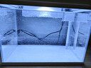 森森（SUNSUN）超白鱼缸一体缸自循环客厅水族箱桌面家用懒人免换水小型金鱼缸 超白HEJ380标配 带滤材+棉 实拍图