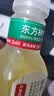 农夫山泉东方树叶绿茶500ml*15瓶无糖茶饮料0糖0脂0卡整箱装饮品 实拍图