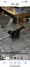 欢宠网猫玩具猫咪自动逗猫球棒电动自嗨神器自己玩解闷猫猫小猫幼猫宠物 实拍图