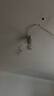 飞利浦（PHILIPS）经济型LED球泡大螺口灯泡节能超亮照明15W E27 6500K含附件共3只 实拍图