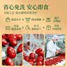 楼兰蜜语【双重有机】国标一级免洗和田大枣618g即食滋补新疆红枣特产零食 实拍图