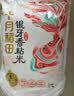 十月稻田 当季新米 油粘米 银牙香粘米（南方大米 籼米 10斤） 实拍图