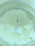 可瑞康（karicare）GOAT山羊奶粉小分子乳蛋白900g婴幼儿专用配方奶粉新西兰进口 3段3罐【27年7月到期】 实拍图