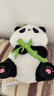 名创优品（MINISO）坐姿熊猫毛绒公仔毛绒玩具玩偶布娃娃抱枕送儿童节礼物生日礼物女 实拍图