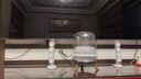 华强北harman·kardon 音响 SoundSticks 4 水晶四代 蓝牙连接 桌面立体音响 墨金典藏/黑/白色 水晶四代 白色 海外版 实拍图