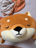 名创优品（MINISO）柴犬系列毛绒公仔趴姿玩具娃娃抱枕睡觉卧室办公室午睡枕生日礼物 实拍图