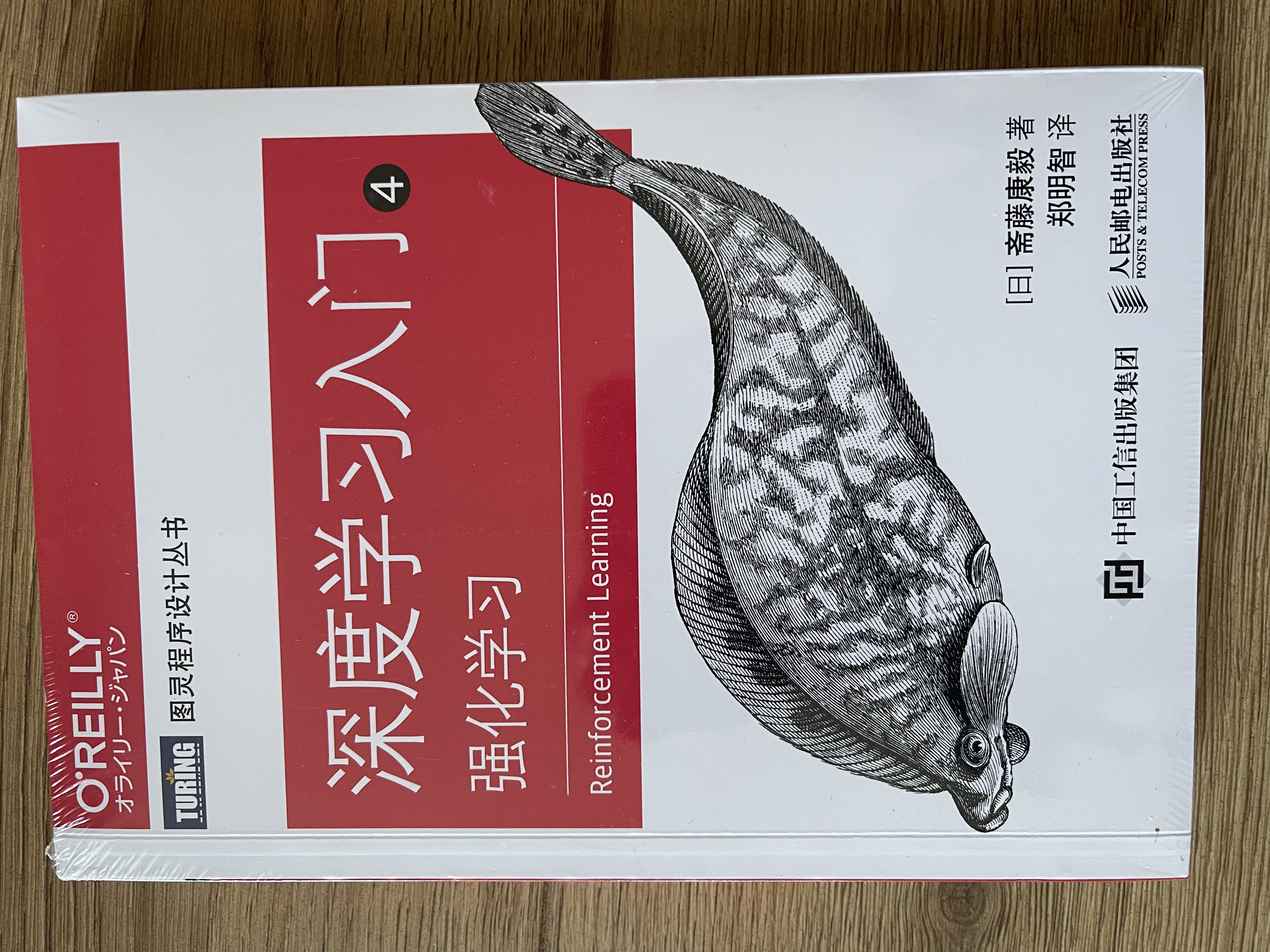 深度学习入门全套：Python理论+框架+NLP+强化学习 京东套装4册（图灵出品） deepseek教程 实拍图