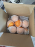 京鲜生 春见耙耙柑 净重5斤 单果150g起 生鲜柑橘桔子水果礼盒 实拍图