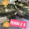 babycare金山茶花拉拉裤XL34片(12-17kg)婴儿尿不湿超薄透气新生柔花苞裤 实拍图