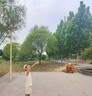 桐孩儿儿童生日礼物高端10岁男孩7-14岁学生黑科技玩具8-12岁上档次实用 无刷带屏版-避障/灰色-三电 六一儿童节礼物 实拍图